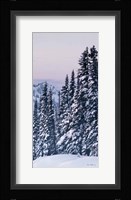 Tatoosh Range Panel III Fine Art Print