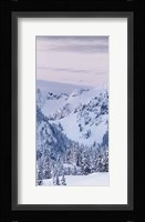 Tatoosh Range Triptych I Framed Print