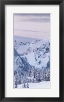 Tatoosh Range Triptych I Framed Print