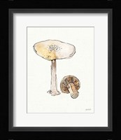 Fresh Farmhouse Mushrooms IV Fine Art Print