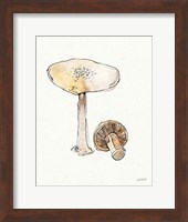 Fresh Farmhouse Mushrooms IV Fine Art Print