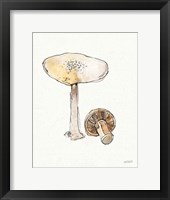 Fresh Farmhouse Mushrooms IV Framed Print