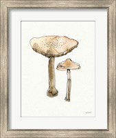 Fresh Farmhouse Mushrooms II Fine Art Print