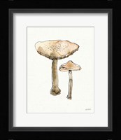 Fresh Farmhouse Mushrooms II Fine Art Print