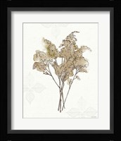 Fresh Farmhouse VII Framed Print