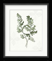 Fresh Farmhouse V Framed Print