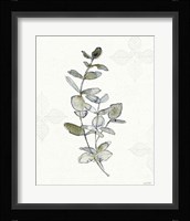 Fresh Farmhouse III Framed Print
