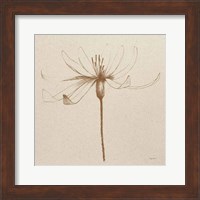 Modern Vintage Floral III Fine Art Print