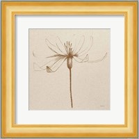 Modern Vintage Floral III Fine Art Print