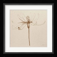 Modern Vintage Floral III Framed Print