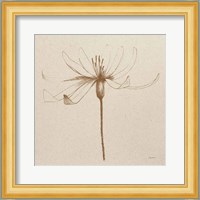 Modern Vintage Floral III Fine Art Print