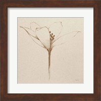 Modern Vintage Floral VI Fine Art Print