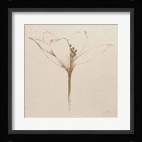 Modern Vintage Floral VI Framed Print
