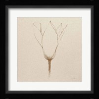 Modern Vintage Floral V Framed Print