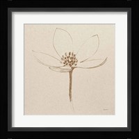 Modern Vintage Floral IV Framed Print