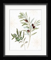 Mediterranean Motif IX Framed Print