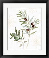 Mediterranean Motif IX Framed Print