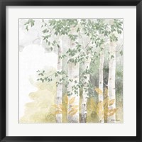 Natures Leaves III Sage Framed Print