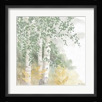 Natures Leaves II Sage Framed Print