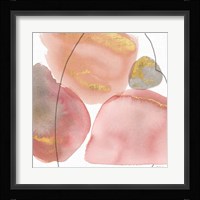Petal Passion XI Soft Boho Framed Print