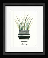 Herb Garden VI Framed Print