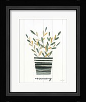 Herb Garden V Framed Print