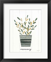 Herb Garden V Framed Print