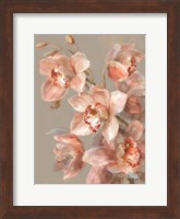 Delicate Orchid II Fine Art Print
