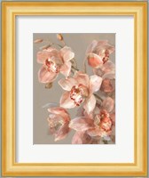 Delicate Orchid II Fine Art Print