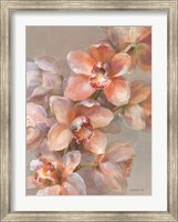 Delicate Orchid I Fine Art Print