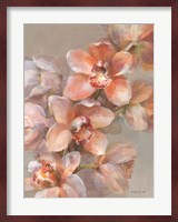 Delicate Orchid I Fine Art Print