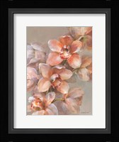 Delicate Orchid I Framed Print