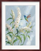 Hummingbird Spring II Soft Blue Fine Art Print