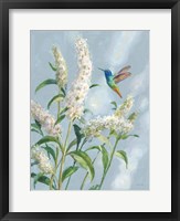 Hummingbird Spring II Soft Blue Fine Art Print