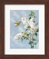 Hummingbird Spring I Soft Blue Fine Art Print