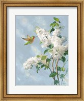 Hummingbird Spring I Soft Blue Fine Art Print