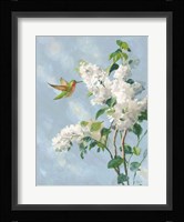 Hummingbird Spring I Soft Blue Framed Print