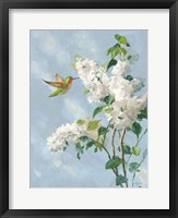 Hummingbird Spring I Soft Blue Framed Print