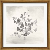 Beautiful Butterflies BW Fine Art Print
