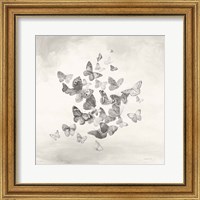 Beautiful Butterflies BW Fine Art Print