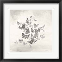 Beautiful Butterflies BW Framed Print