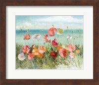 Coastal Poppies Light. Fine Art Print