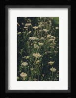 Running Wild I Framed Print