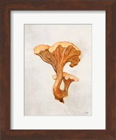 Woodland Mushroom IV Fine Art Print