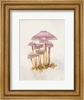 Woodland Mushroom III Fine Art Print