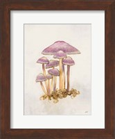 Woodland Mushroom III Fine Art Print