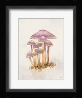Woodland Mushroom III Fine Art Print