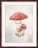 Woodland Mushroom II Fine Art Print