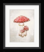 Woodland Mushroom II Fine Art Print