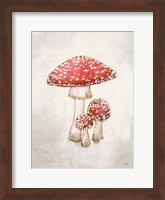 Woodland Mushroom II Fine Art Print